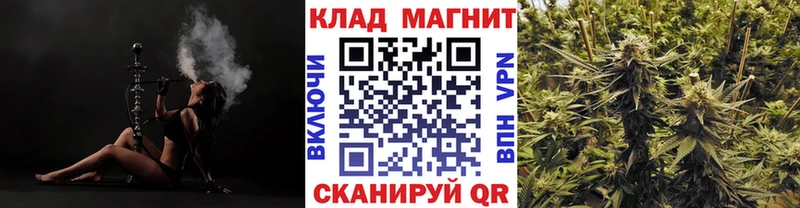 Магазины продажи наркотиков Новотроицк Кокаин МЕТАДОН Канабис Амфетамин Галлюциногенные грибы