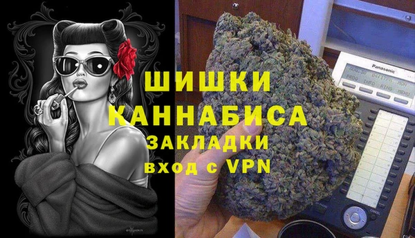 spice Аркадак
