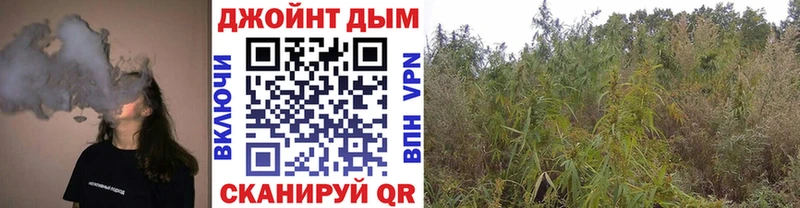 Каннабис планчик  Новотроицк 
